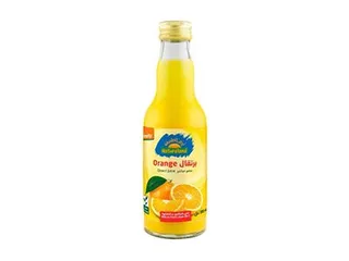 Natureland Orange Juice 200 Ml