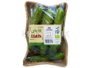 Earth Cucumber 500 g