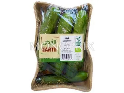 Earth Cucumber 500 g