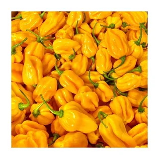 Habenero Yellow kilo