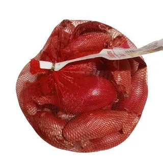 بصل كراث مستورد