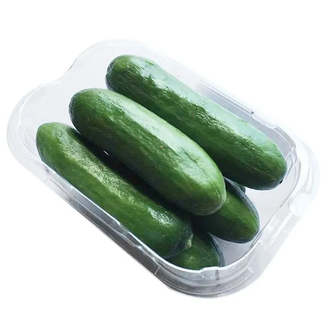 Baby Cucumber Kuwait Packet