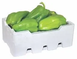 Capsicum Jordan M/Falin