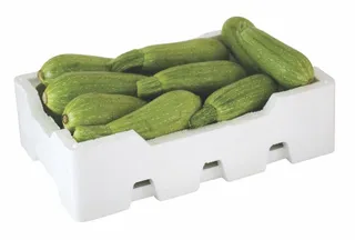 Courgette M/Falin Jordan