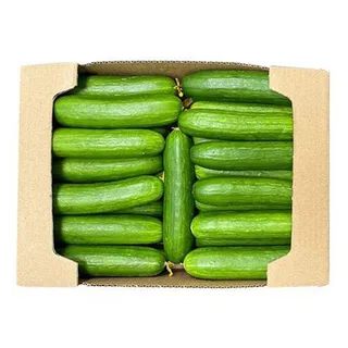 Cucumber S/Box