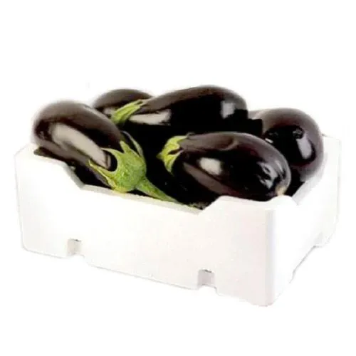 Eggplant Kuwaiti M/Falin