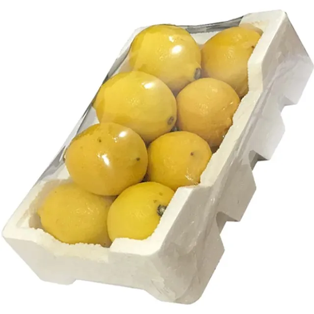 Lemon S M/Falin