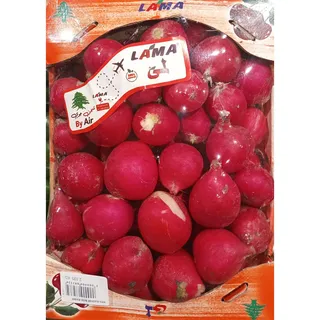Red Radish Box Kashf