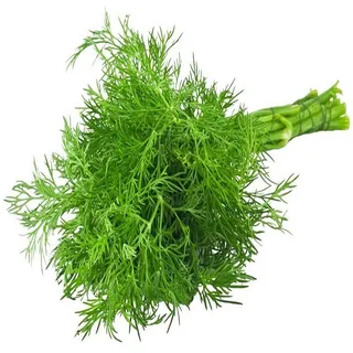 Dill Bunch Kuwait Bunch