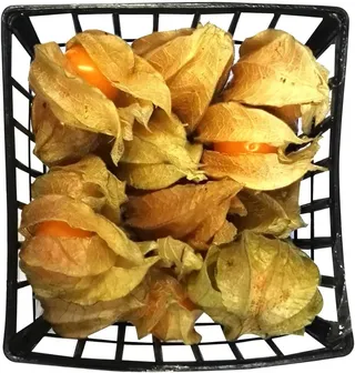 Physalis Holland Pkt 100G
