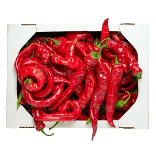 Pepper Hot Red Box