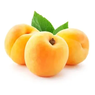 Apricot Lebanon Kg