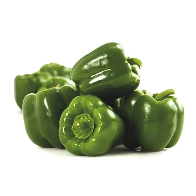 Capsicum Jordan Kg