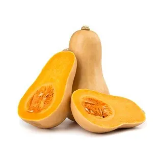 يقطين حبة طويلة