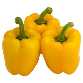 Capsicum Yellow (Holland) Kg