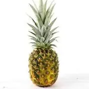 Golden Pineapple, 1 Piece