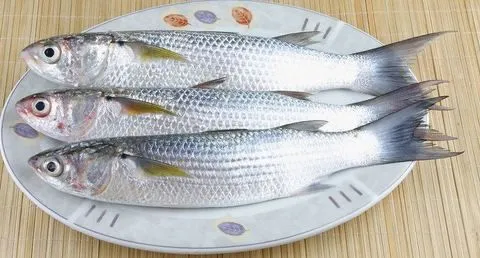 Fresh Grey Mullet Fish Small - Egypt 1kg