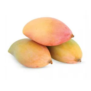مانجو توثابوري، 500g