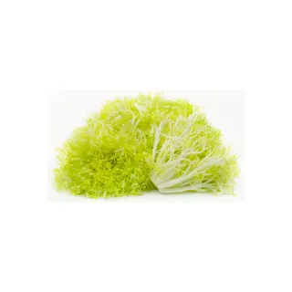 Lettuce Fine Frisee Pack