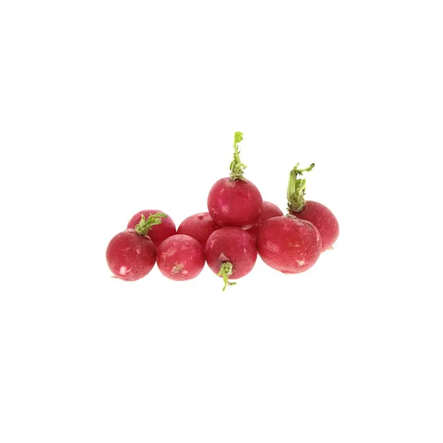 Red Radish Holland 125g