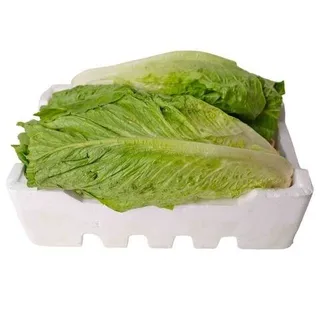 Romaine Big Lettuce 51007, 1.5kg