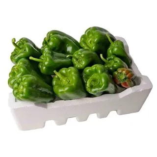 Big Capsicum 51008, 1 Box
