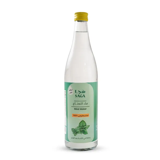 Saga Mint Water, 580ml