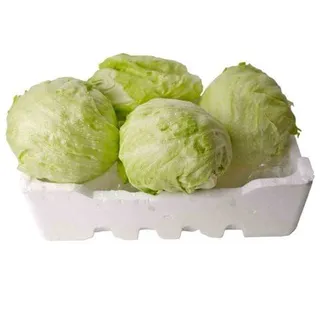 Iceberg Lettuce in Foam Box, 2kg