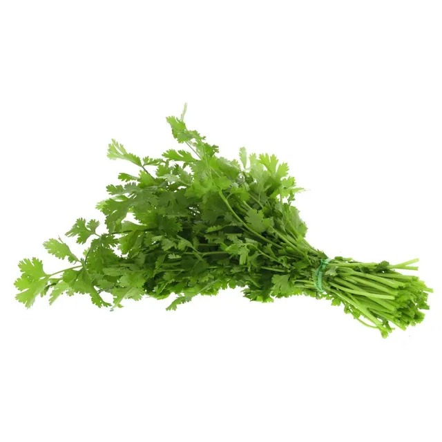 Coriander, 1 Piece