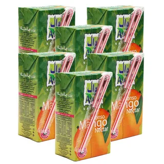 أول عصير مانجو 6 x 250 مل