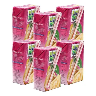 Awal Egyptian Guava Juice, 6x250 ml