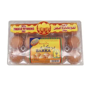 Barka Brown Eggs Large Size 15 Pieces