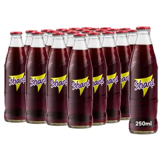Shani Soft Drink Glass Bottle, 24x250ml