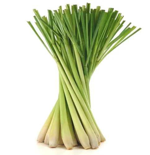 Lemon Grass 500g