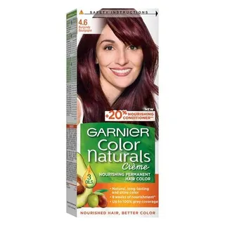 Garnier Permanent Hair Color Cream Burgundy 4.6