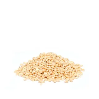 الفارس حب حريس، 2.5kg