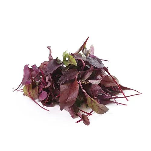 Bull Blood Lettuce, 125g