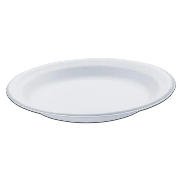 Celebration Foam Plate, 10 Pieces