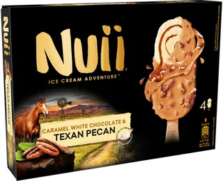 Nuii Chocolate Texan Pecan Ice Cream Bar, 284g