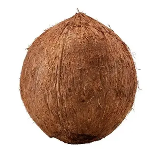Brown Coconut - India, 1 Piece