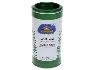 أرض الطبيعة صودا الخبز
