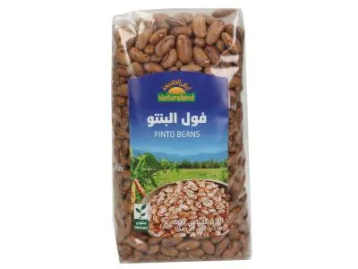 Natureland Organic Pinto Beans 500 g