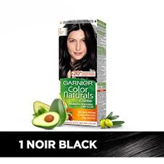 GARNIER HAIR COLOR BLACK NOIR 1