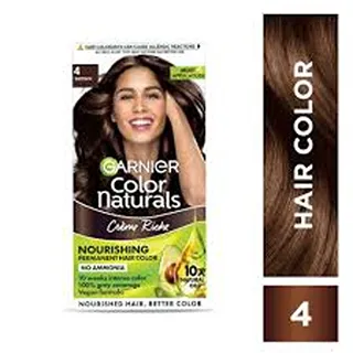 GARNIER HAIR COLOR BROWN 4