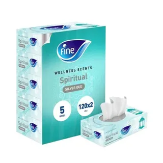 FINE FACIAL TISSUE SILVER OUD 2PLY 120SX5
