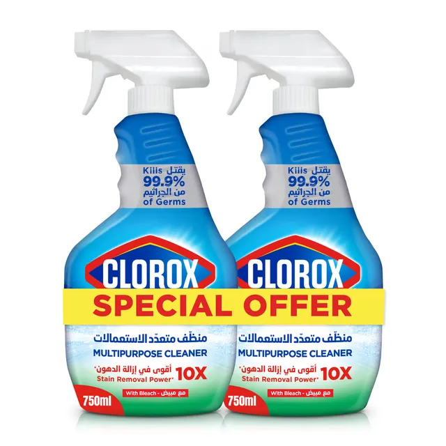 CLOROX MULTIPURPOSE CLEANER PROMO @ 20% OFF 750MLX2