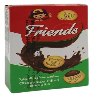 FRIENDS CHOCOLATE FILLED BISCUITS 16GX20