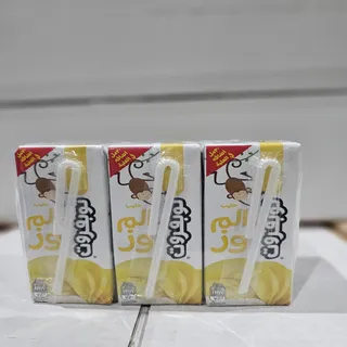 TOPFRUIT UHT BANANA MILK 200MLX6