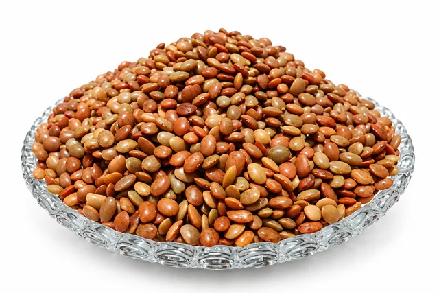 غرام الحصان