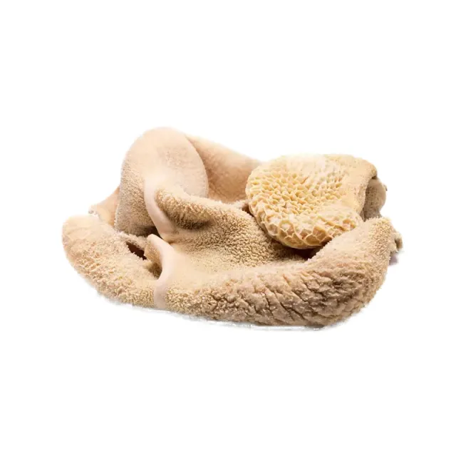 Beef Botti 500 g